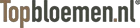 Topbloemen.nl
