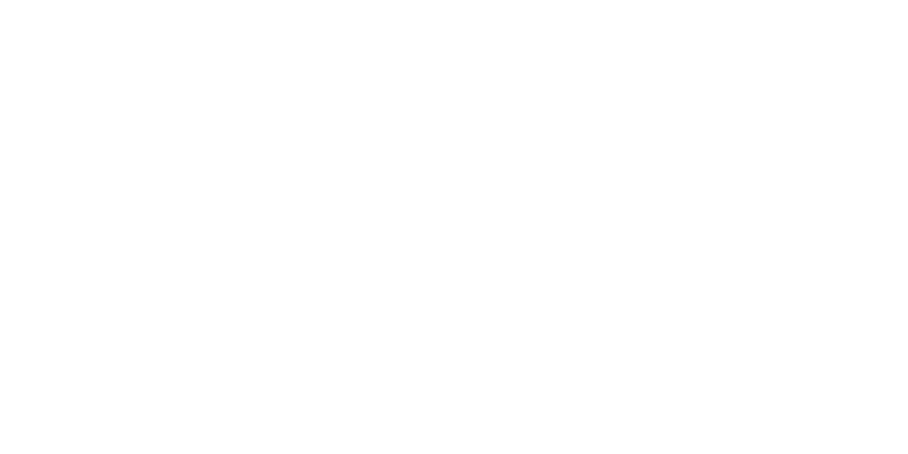 Swapfiets