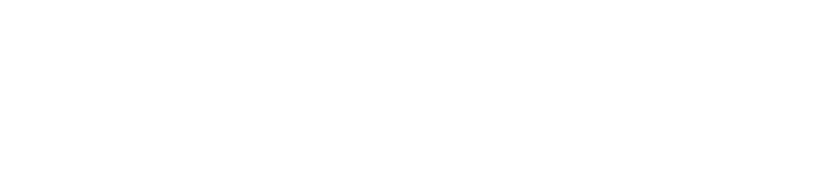 De Wit Mode