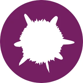 Sirius