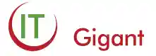 IT Gigant