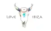 Love Ibiza