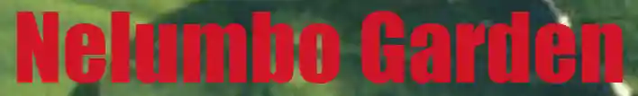 Nelumbogarden
